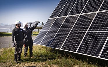 Pracovníci kontrolujú panely na solárnej farme