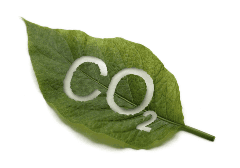 Oxid uhličitý, uhlík, uhlíková neutralita, dekarbonizácia, znečistenie, životné prostredie, list, udržateľný rozvoj