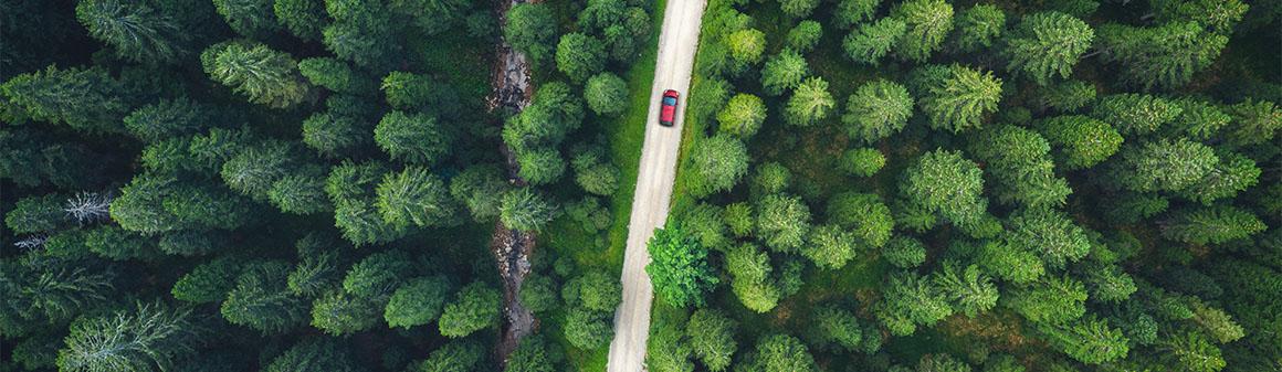 Pohľad zhora na automobil prechádzajúci cez les